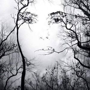 Meet your Posher, Marsha